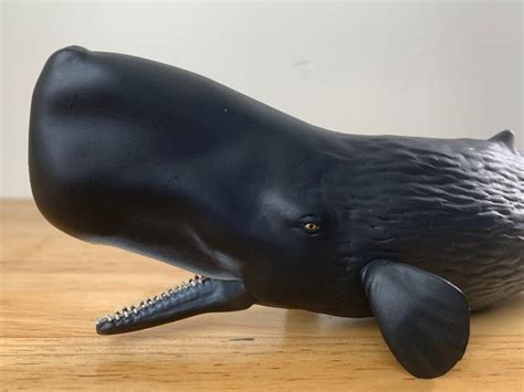 Sperm Whale 2018 Marine Life By Papo Animal Toy Blog