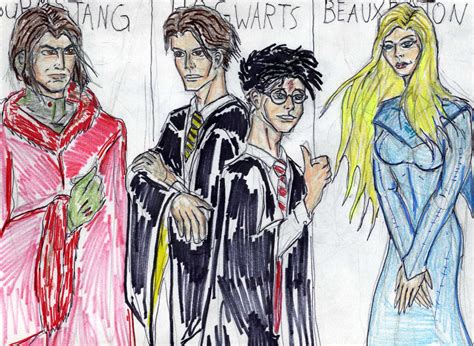 Triwizard Tournament Champions By Theaven On Deviantart