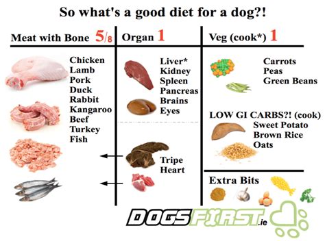 Neither group is likely to change. Fresh Dog Food Recipes, Quick and Easy- DogsFirstIreland ...