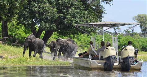 chobe national park — african safari holidays in botswana