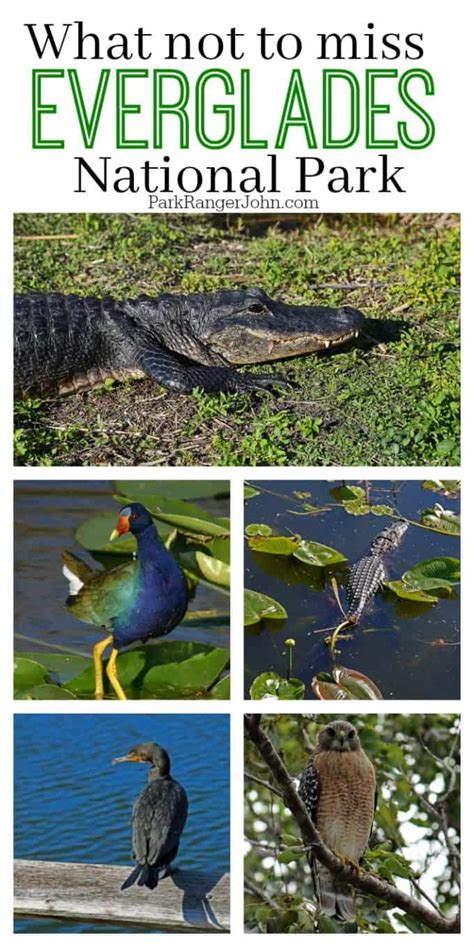 Although kk is derived from ok and they mean the same, they were originated in two differ eras. Things to do Everglades National Park in Florida | Park ...