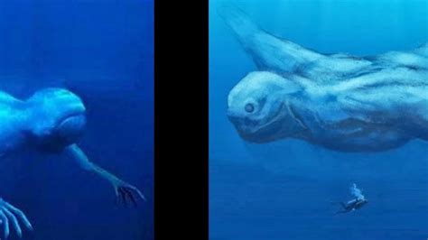 The Ningen Japans Sea Monster What Is It Really Look Youtube
