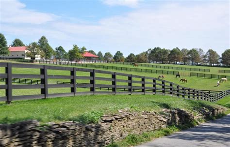 A Lovely Set Of Pastures And 4 Rail Fences Near Lexington Kentucky