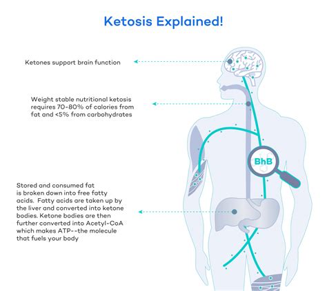 Ketosis Explained What It Is Benefits And How To Achieve It Dr
