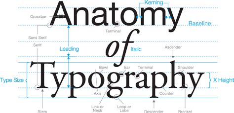 Typography The Anatomy Of A Letter Osman Assem Digital Art Monster