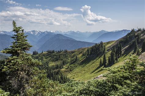 Hurricane Ridge Homes And Land In Sunny Sequim Washington