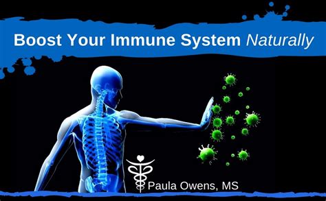 Boost Your Immune System Naturally Paula Owens Ms