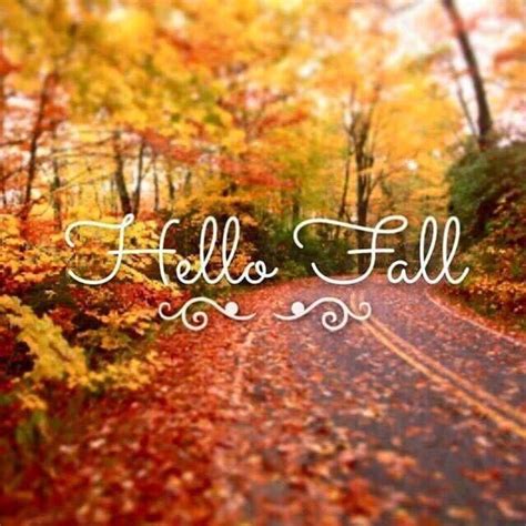Pin By Vicki On Daysmonths Hello Autumn Autumn Quotes Happy Fall