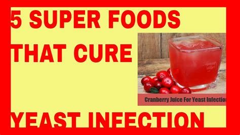 5 Super Foods That Cure Yeast Infection Best Foods To Cure Yeast