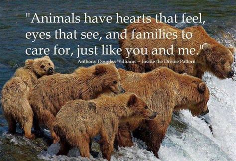 Quotes about Animal care (43 quotes)
