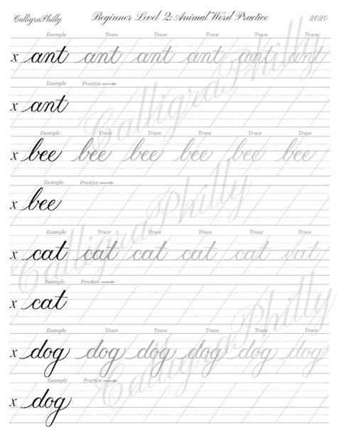 Beginner Level 2 Calligraphy Word Practice Worksheet And Blank Etsy