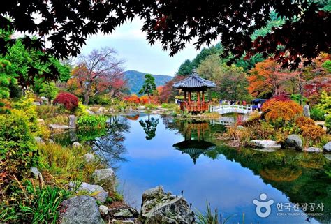 The Prettiest Places To See Around Seoul Nature And Garden Special