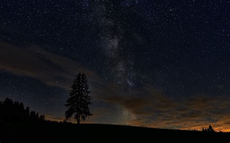 Download Wallpaper 3840x2400 Spruce Night Tree Stars Starry Sky 4k