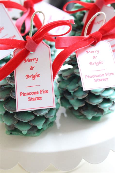 Create With Me~ Pinecone Fire Starters | Pinecone fire ...