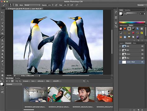 Download Adobe Photoshop Cs7 Full Version Gratis Matelsa