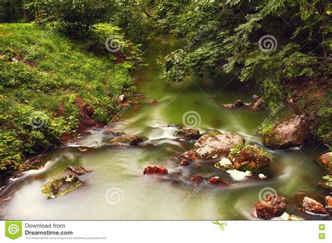 River Deep In Mountain Forest Nature Composition Stock Photo Image