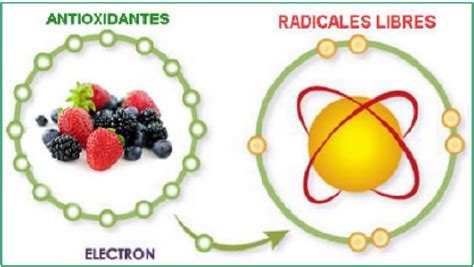 antioxidantes la tendencia en el consumo de alimentos intagri s c