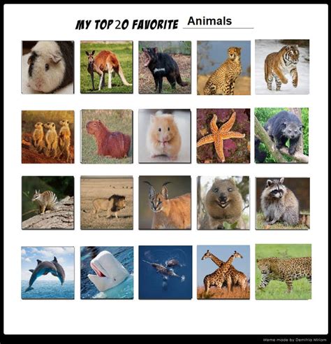 My Top 20 Favorite Animals By Alexandersonroman On Deviantart