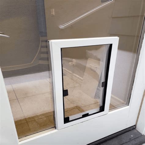 Pet Doors For Glass American Pet Doors