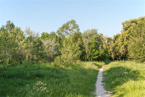 Free Images Landscape Forest Path Marsh Wilderness Sun Trail
