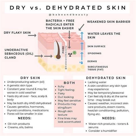 Winter Skin Is Coming Do You Know The Difference Between Dry Skin A