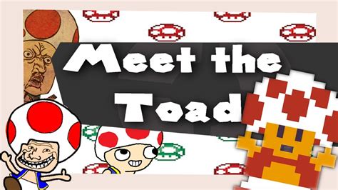 Super Mario 64 Meet The Toad 2016