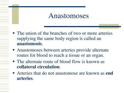 PPT - Cardiovascular System PowerPoint Presentation, free ...