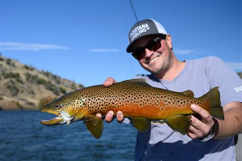 Guide To Fall Fly Fishing In Montana Montana Angling Company