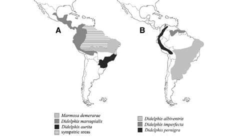 Geographic Ranges Of Some New World Opossums According Iucn 2014 A