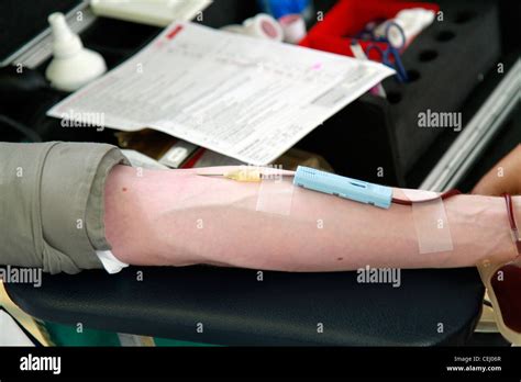 Arm Of Blood Donor With Needle And Tube Cape Town Western Cape