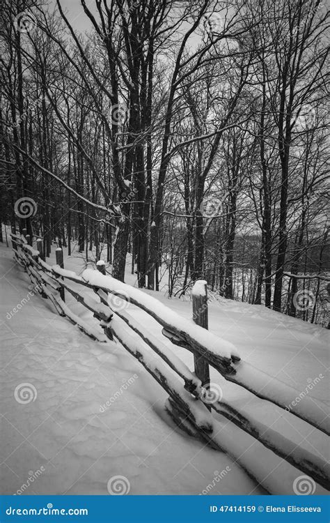 Rural Winter Scene With Fence Stock Image Image Of Grey Freezing
