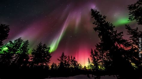 Northern Lights Film Lapland