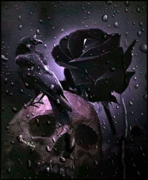 Skull Raven Black Rose Beautiful Dark Art Skull Art Skull Pictures