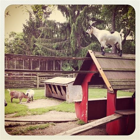 Far Enough Farm Toronto Island Park