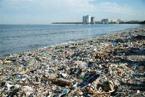 Plastic Trash Chokes Philippine Seas Mindanews