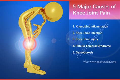 5 Major Causes Of Knee Joint Paininflammation Infection Injury
