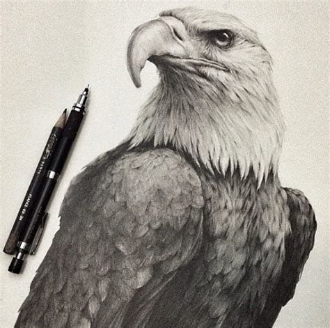 Drawing Cool Animal Images 26 Stunning Drawings Of Animals Made From