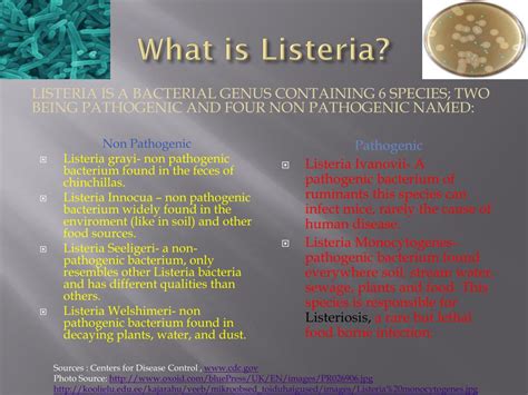 Ppt Listeria Powerpoint Presentation Free Download Id1882185