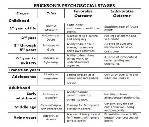 Erikson S Psychosocial Development Model