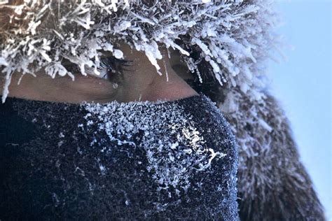 Free Images Tree Person Snow Cold Winter Woman Frost Looking