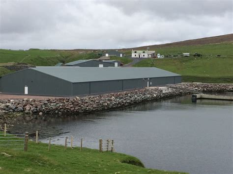 Grieg seafood is a large salmon producer that sells its premium product to many global customers. Grieg Seafood Shetland | Shetland Telecom