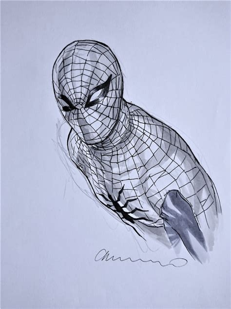 Spider Man In Paolo Martss Lee Bermejo Comic Art Gallery Room