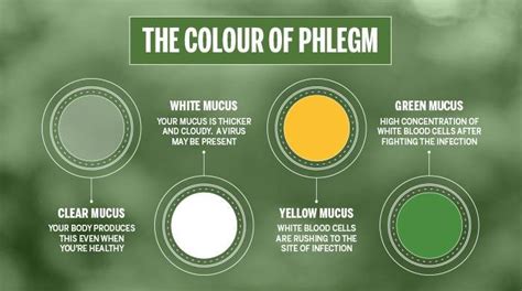 Phlegm Color Chart Google Search Mucus Color Chart Mucus Color Mucus What Is Mucus Upmc