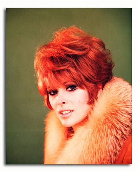 Ss3454516 Movie Picture Of Jill St John Buy Celebrity Photos And
