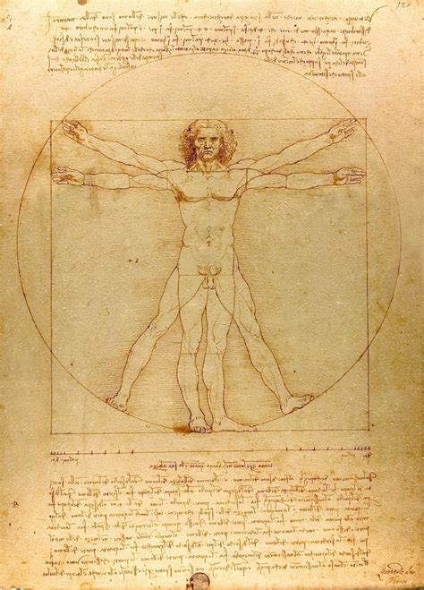 The Significance Of Leonardo Da Vincis Famous “vitruvian Man” Drawing