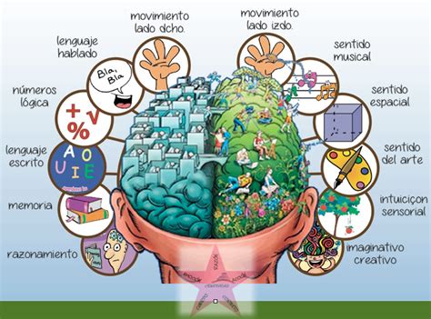 Arriba Imagen Hemisferios Cerebrales Mapa Mental Abzlocal Mx The Best