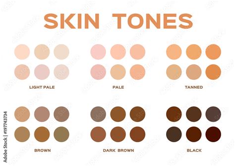 Skin Tone Index Color Infographic Vector Stock Vector Adobe Stock