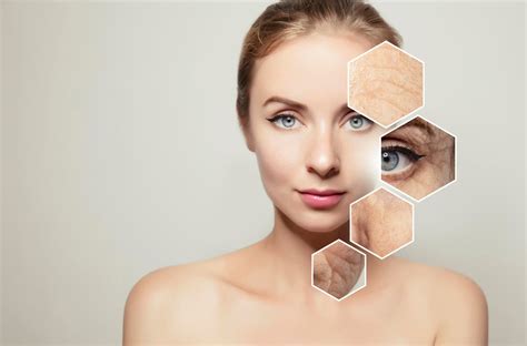 New Insights Into The Anti Aging Properties Of Klotho Startup Dreamers