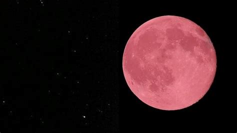 Hoy Superluna Llena ¿rosa Zonal Noticias