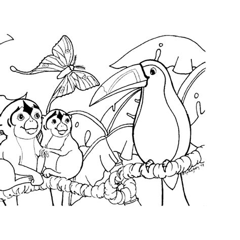 Coloring Pages For Animals In Rainforest Coloring Home